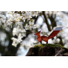 Broche renard