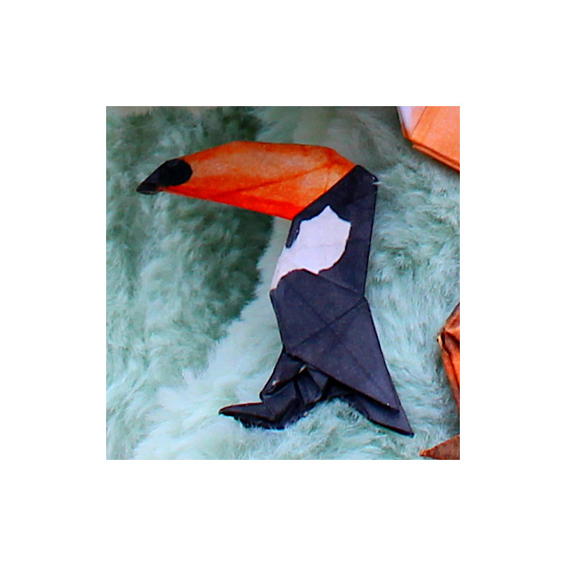Broche toucan