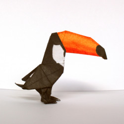 Broche toucan
