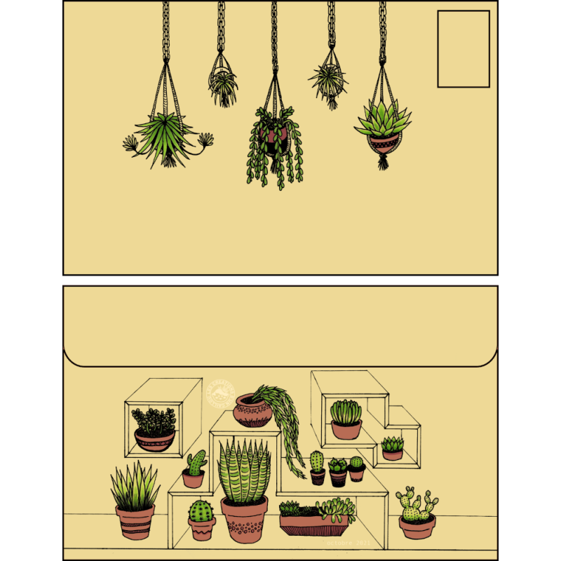 Enveloppe plantes d'intérieur