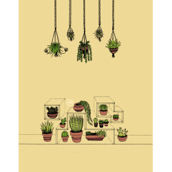 Enveloppe plantes d'intérieur