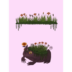 Enveloppe crapaud végétal