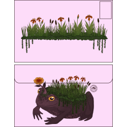 Enveloppe crapaud végétal