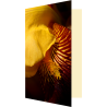 Carte fleur d'iris