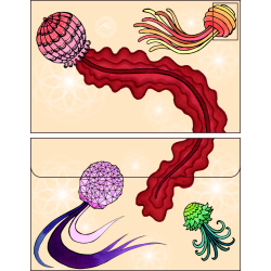 Enveloppe méduses colorées