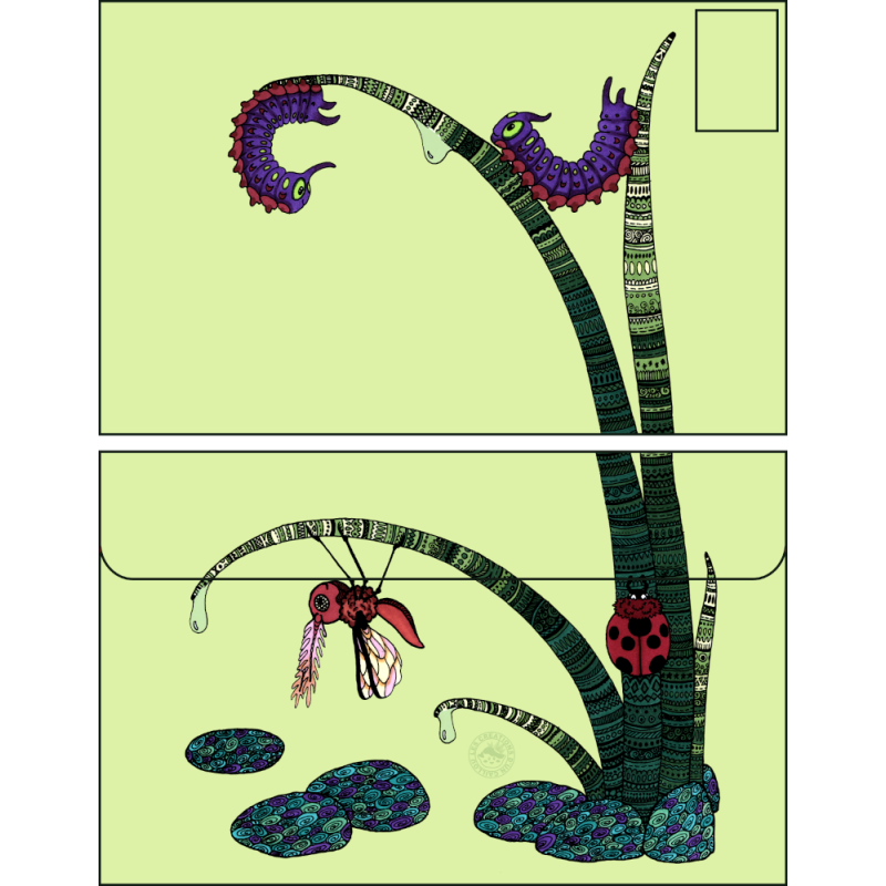 Enveloppe petites bêtes et brins d'herbe