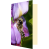 Carte abeille solitaire et glycine