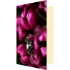 Carte araignée et lilas
