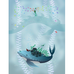 Enveloppe baleine et sirènes