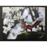 Toile renard origami