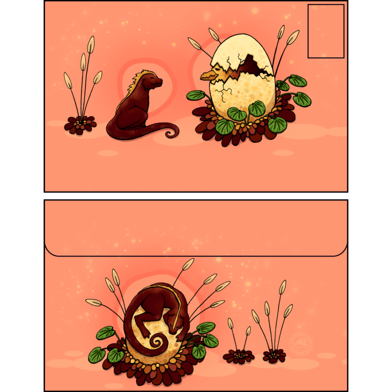 Enveloppe reptiles et volatiles