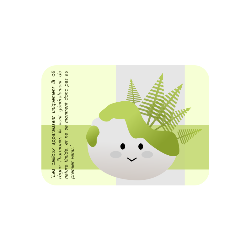 Cartes cailloux explicatives