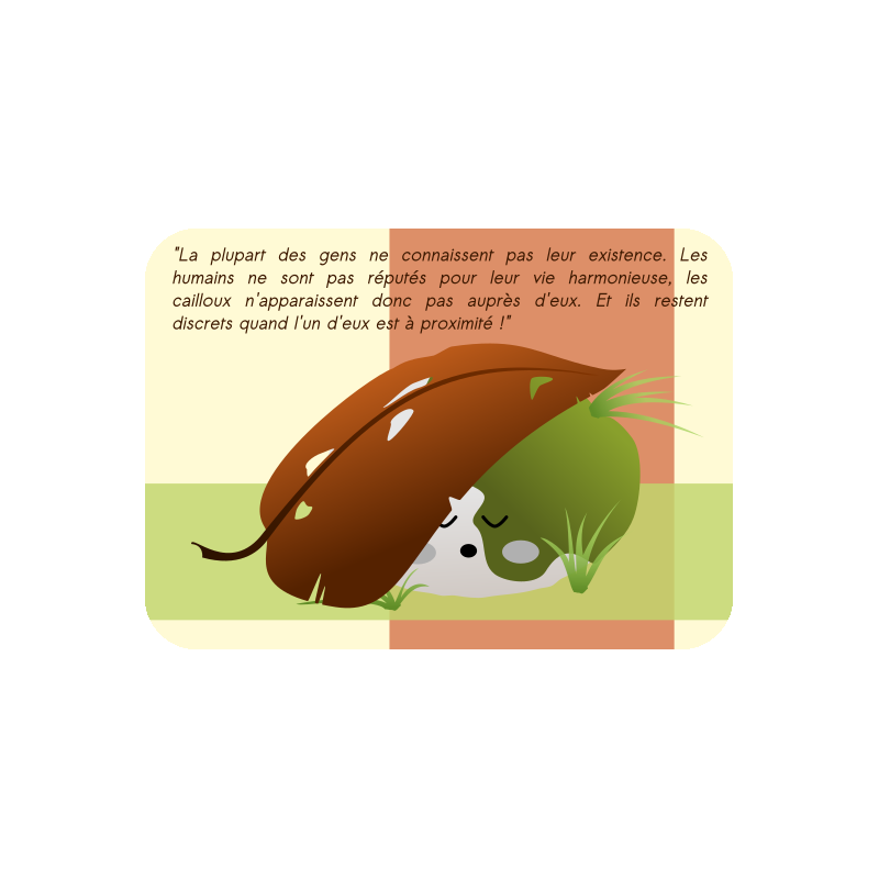 Cartes cailloux explicatives