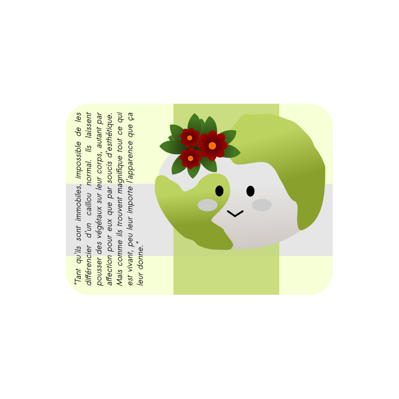 Cartes cailloux explicatives