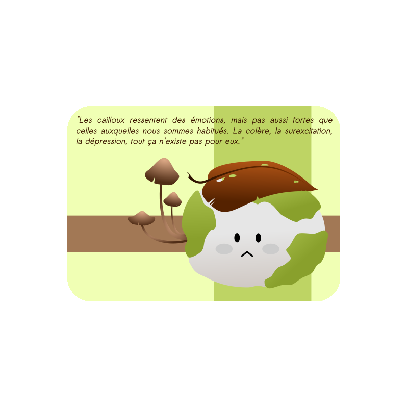 Cartes cailloux explicatives