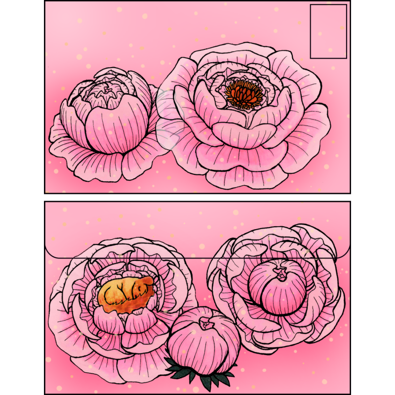 Enveloppe pivoines translucides