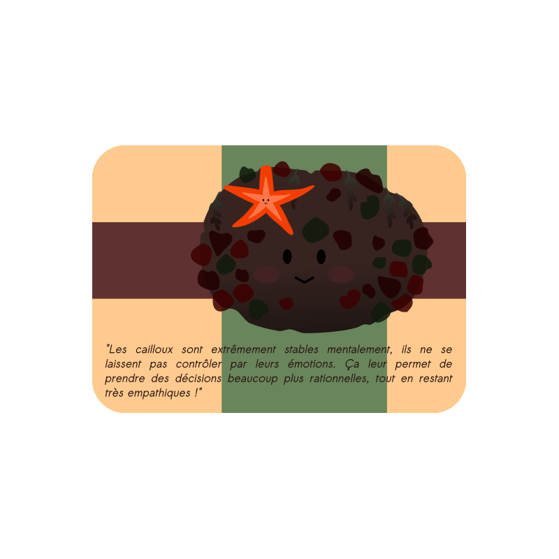 Cartes cailloux explicatives