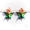 Clips d'oreilles roses roses et papillons verts