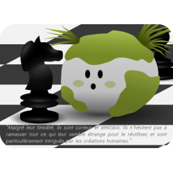 Cartes cailloux explicatives