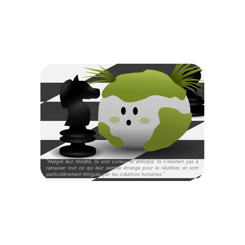 Cartes cailloux explicatives