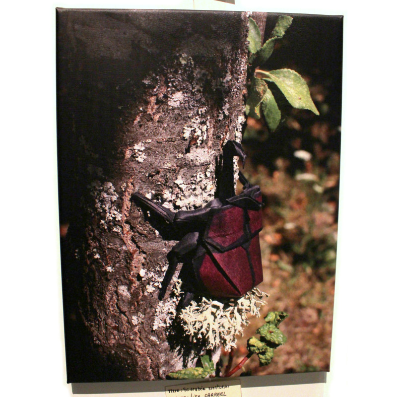 Toile scarabée origami
