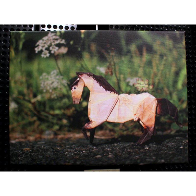 Toile cheval origami