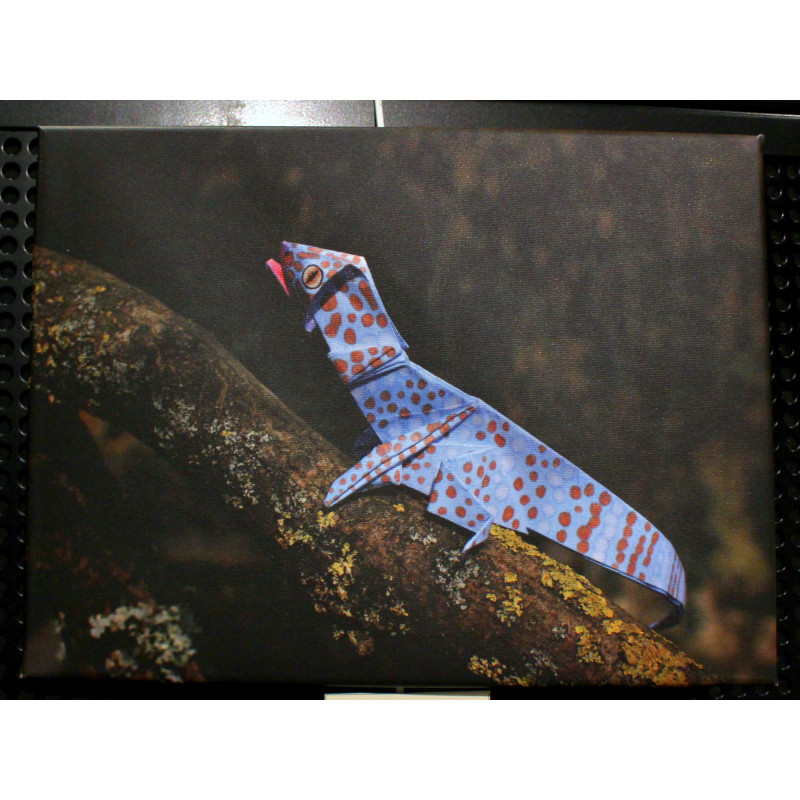 Toile gecko origami