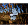 Toile koala origami