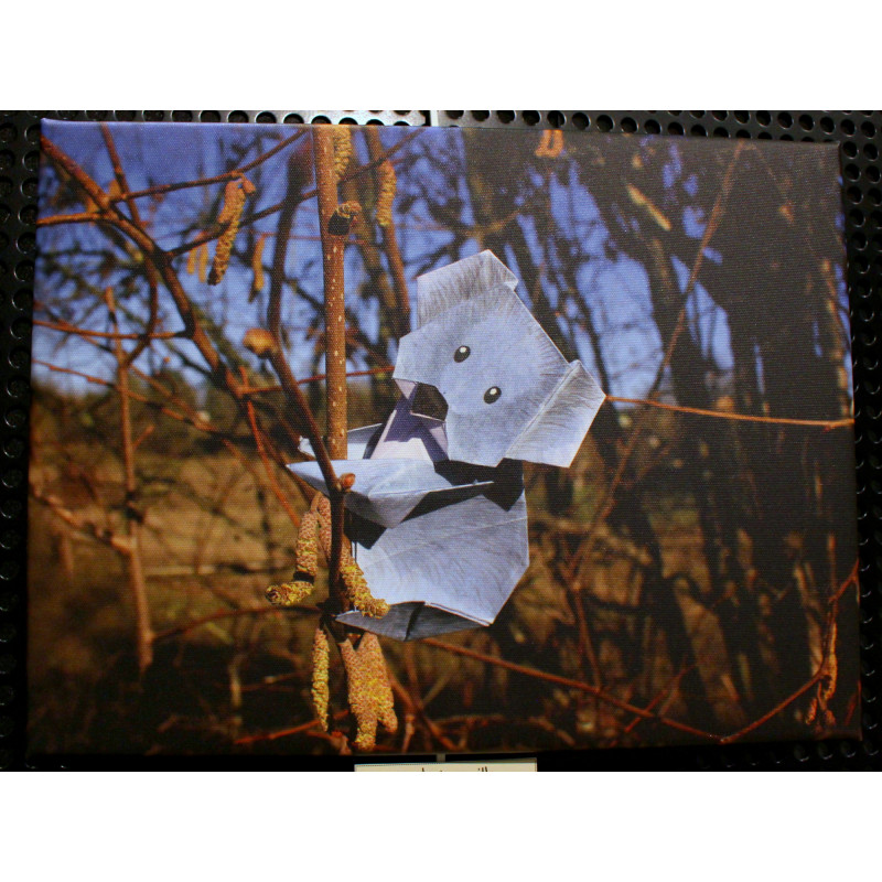 Toile koala origami