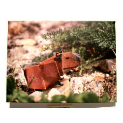 Toile capybara origami