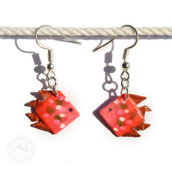Boucles d'oreilles poissons...