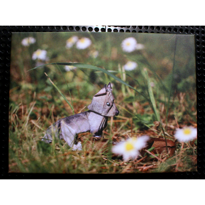 Toile louveteau origami