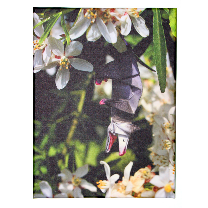 Toile opossum origami