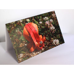 Carte poulpe origami