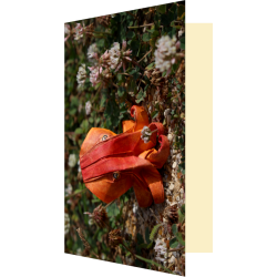 Carte poulpe origami