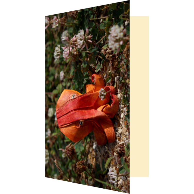 Carte poulpe origami