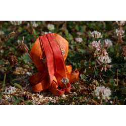 Carte poulpe origami