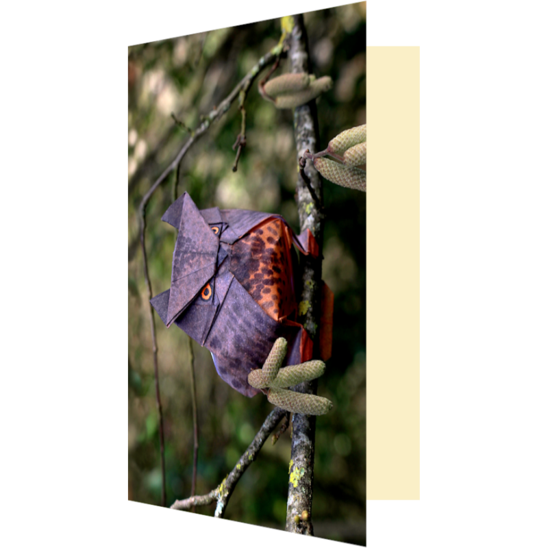 Carte hibou origami