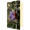 Carte hibou origami