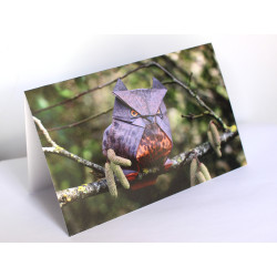 Carte hibou origami