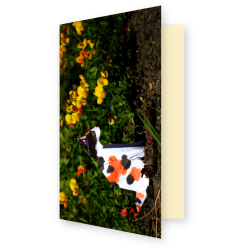 Carte chat origami