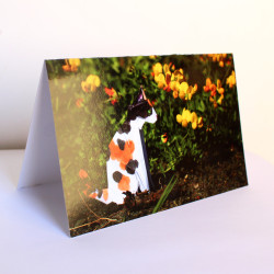 Carte chat origami