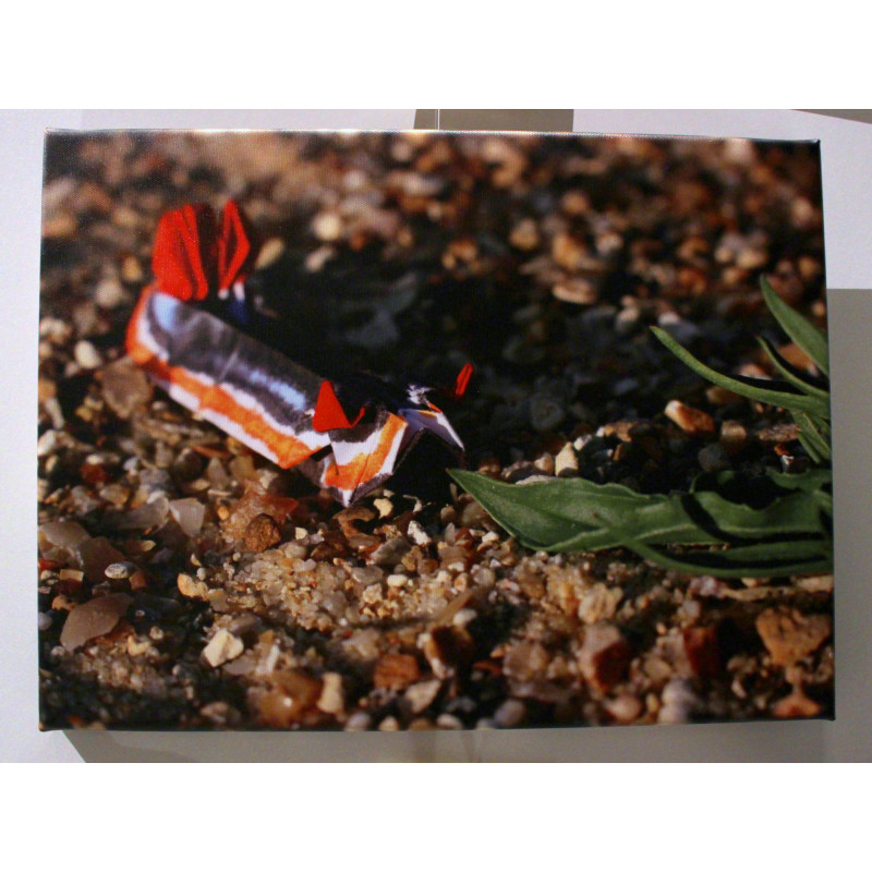 Toile limace de mer origami