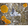 Toile requin marteau origami