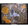 Toile requin marteau origami