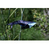 Toile baleine origami