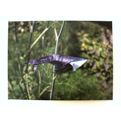 Toile baleine origami