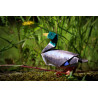 Toile canard origami