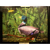 Toile canard origami