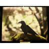 Toile corbeau origami
